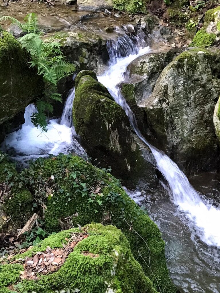 Piscina naturale dell'antico mulino
