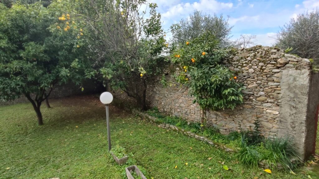 Terreno privato e ulivi della proprietà