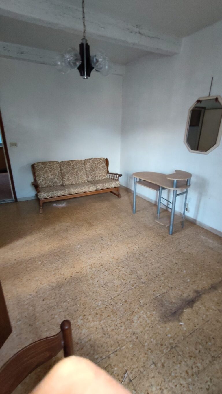Uliveto secolare della proprietà